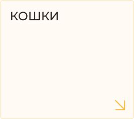 Товары для кошек