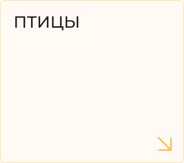 Товары для птиц