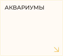 Аквариумы
