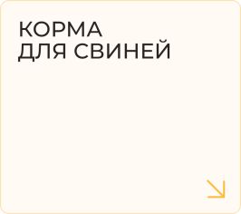 Корма для свиней