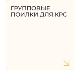 Групповые поилки для КРС