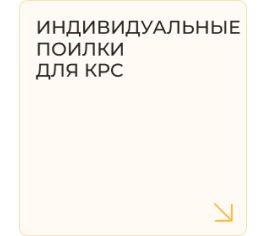 Индивидуальные поилки для КРС