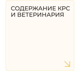 Содержание КРС и ветеринария