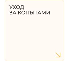 Уход за копытами