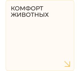 Комфорт животных