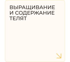 Выращивание и содержание телят
