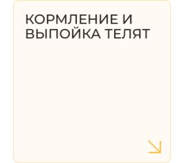 Кормление и выпойка телят