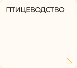 Птицеводство