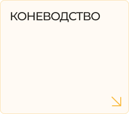 Коневодство