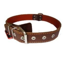 Ошейники и намордники для собак