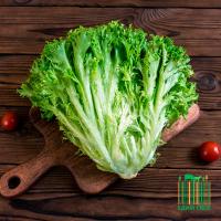 Искусственные методы выращивания могут решить проблему продбезопасности