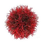 Растение для аквариума Triton Пластиковое 6см