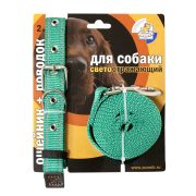 Зооник Комплект для собак Поводок 2м+ошейник 37-51см*25мм зеленый