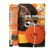 Зооник Комплект для собак Поводок 2м+ошейник 37-51см*25мм оранжевый