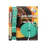 Зооник Комплект для собак Поводок 3м+ошейник 37-51см*25мм зеленый