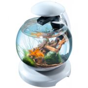 Аквар.комплекс Тетра Cascade Globe Football 6,8л 281226