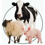 Генотипирование