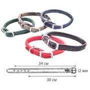 Darell Ошейник для собак Gold Кожа 6мм 30*34см