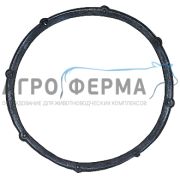 Прокладка баллона молокоопорожнителя, АДС 09.01.022А, БЕЛАРУСЬ