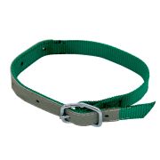 Ошейник для Овец, ременная пряжка, 65х4см, зеленый, ГЕРМАНИЯ