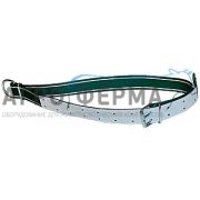 Ошейник для привязи бычков, D-образное кольцо и овальное звено, 150х5,5см, НИДЕРЛАНДЫ