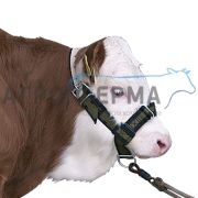 Уздечка для телят, БЕЛАРУСЬ