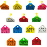 Бирка ушная, 30х35мм, двойная, под щипцы, с надписью, малая, РОССИЯ