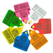 Бирка ушная, 60х80мм, двойная, под щипцы, с надписью, большая, БЕЛЫЙ, РОССИЯ