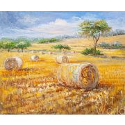 «Солнечное поле»