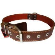 BRAVA Ошейник для собак Не украшенный