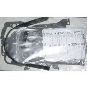 Комплект прокладок Д-260 (полный)